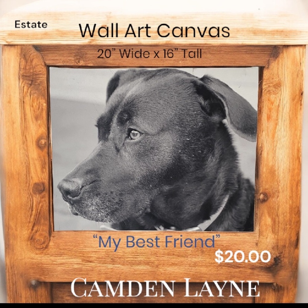 Camden Layne Black and Brown Wall Art Canvas